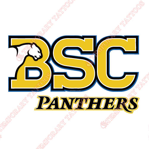 Birmingham Southern Panthers Customize Temporary Tattoos Stickers N4007